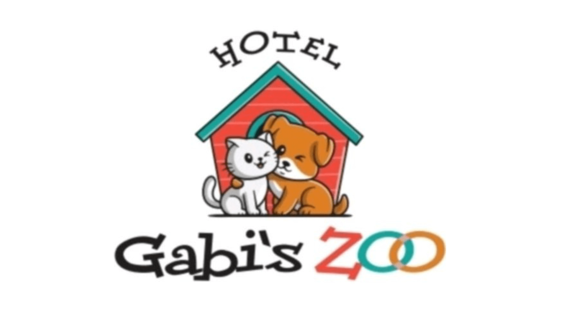 gabi s zoo cazare pisici alba iulia