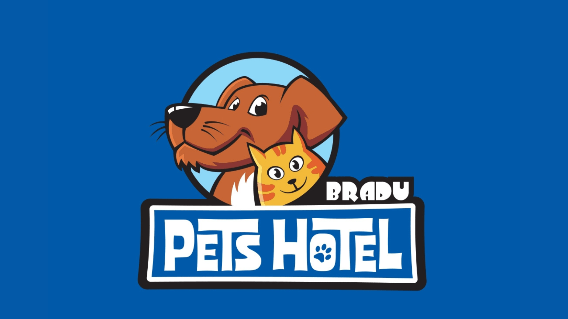 cazare pisici pets hotel bradu