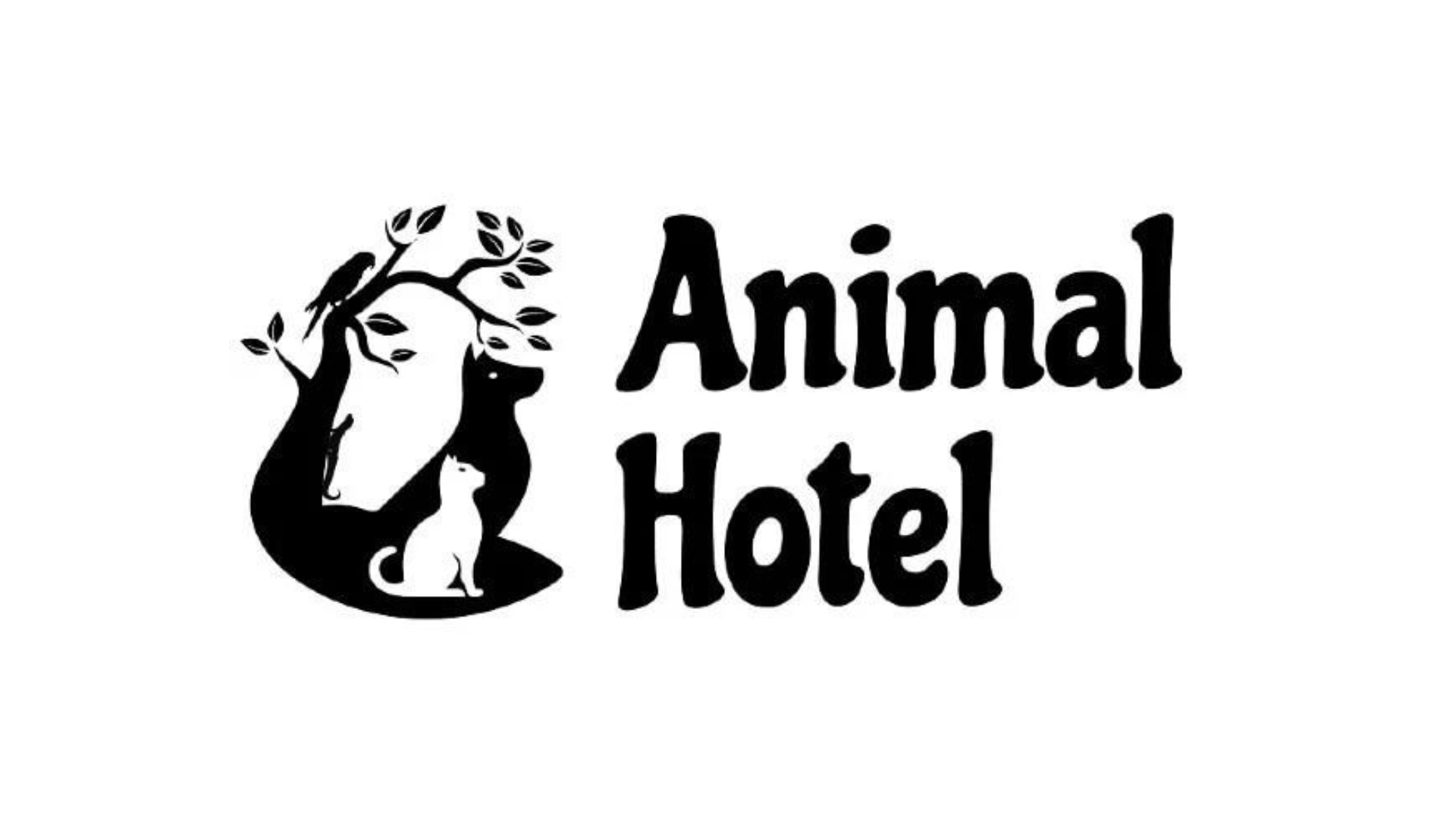 bucuresti animal hotel pisici