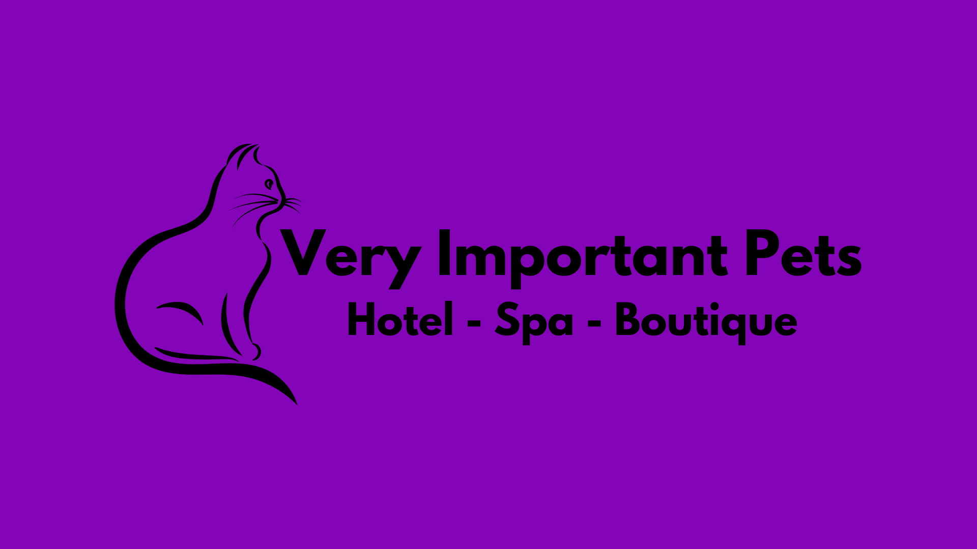 very important pets bucuresti cazare pisica