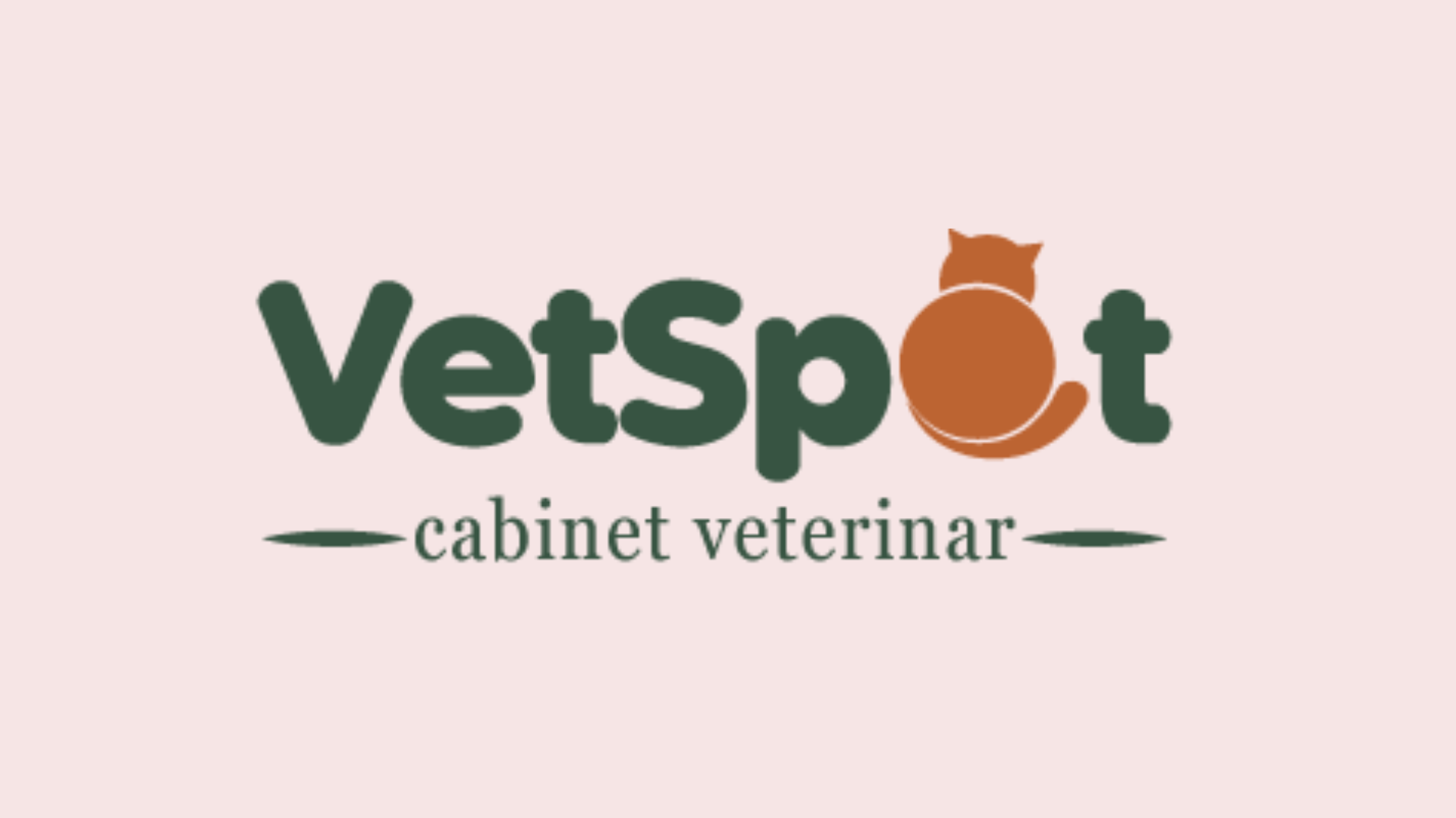 bucuresti vetspot cazare pisica