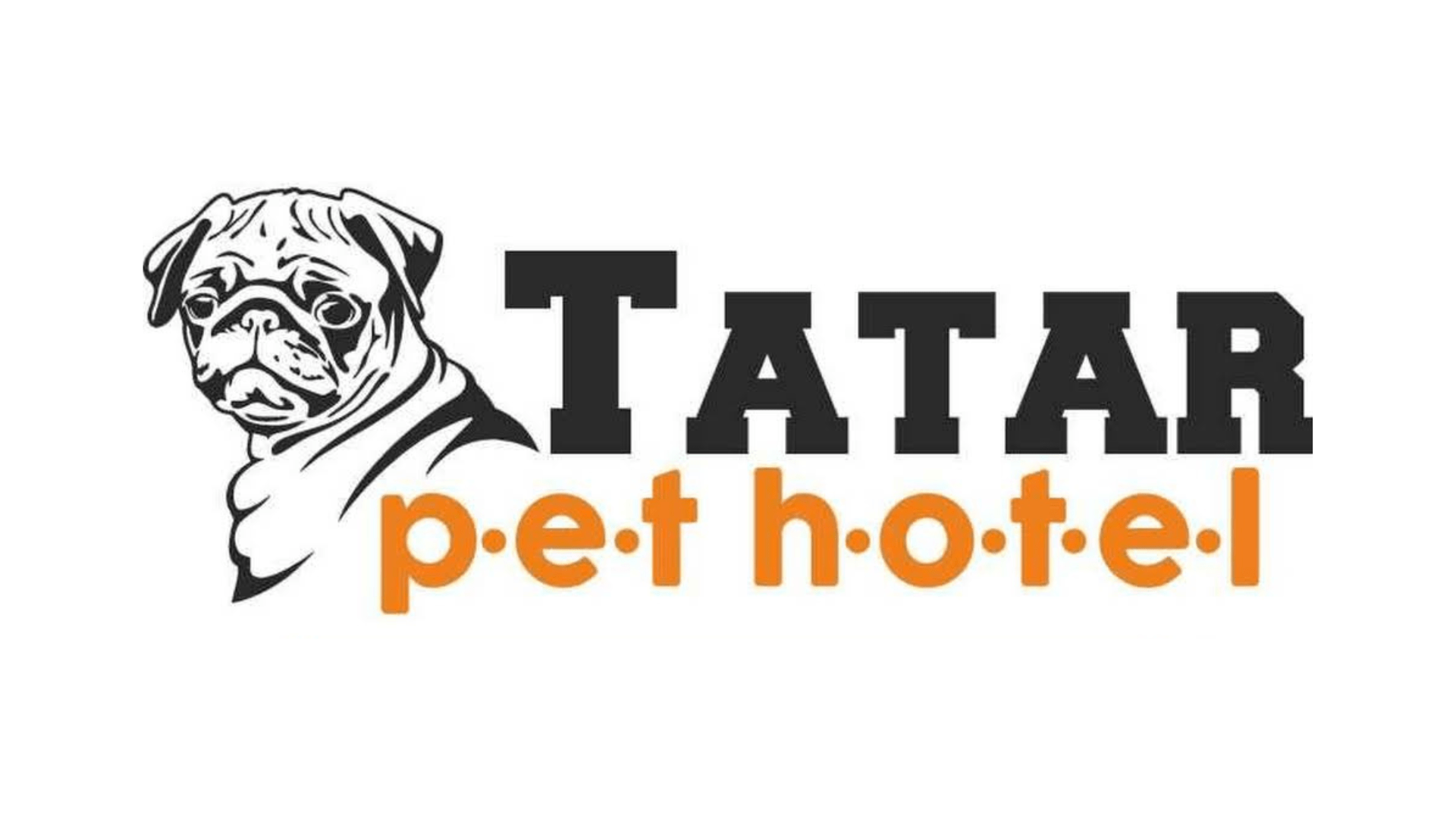 cazare pisici dej tatar hotel