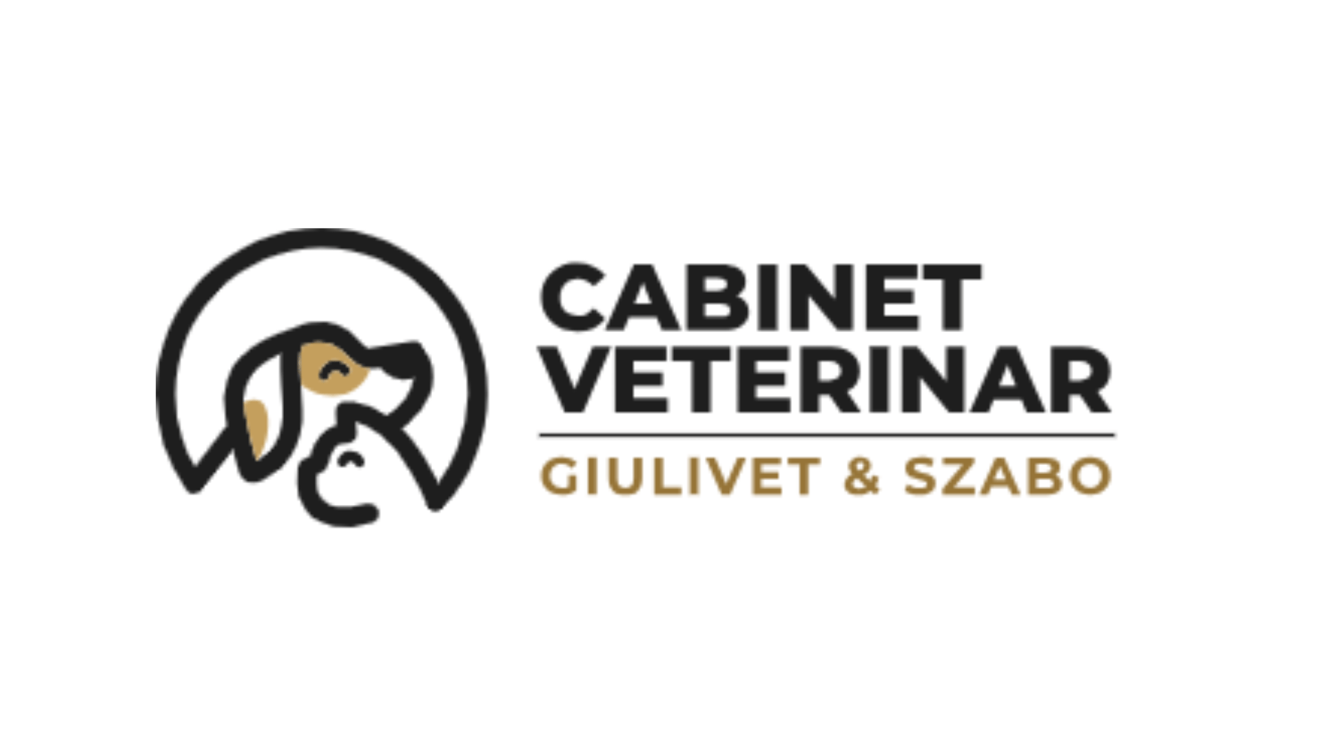 cazare pisici satu mare