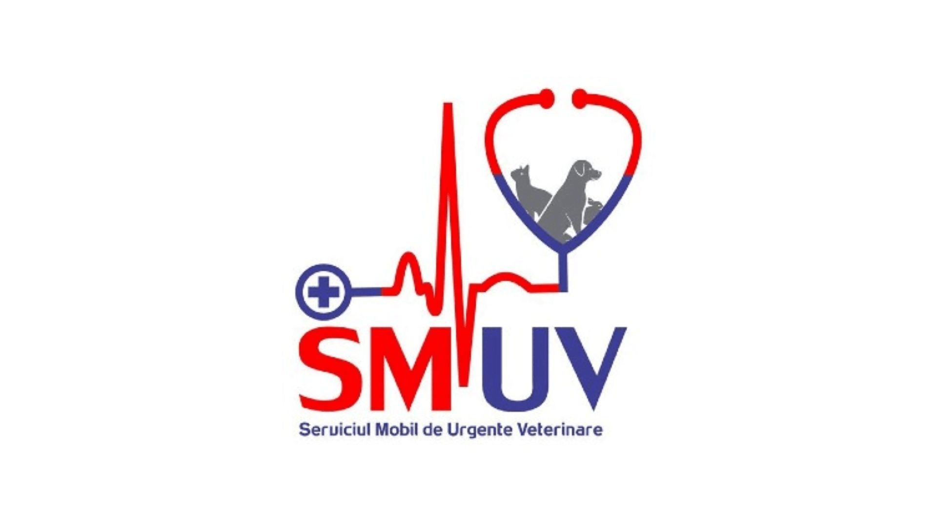 cazare pisici smuv tulcea