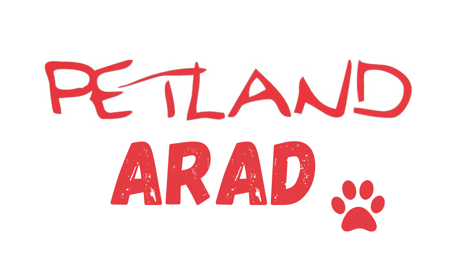 cazare caini si pisici arad