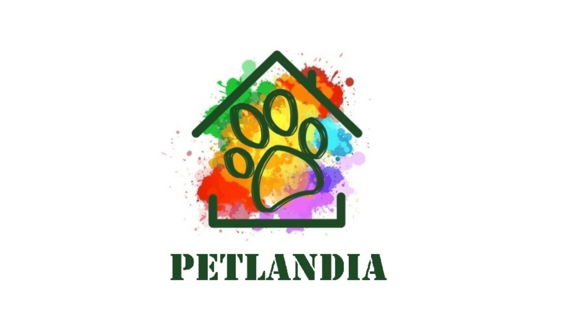 petlandia galati cazare pisici