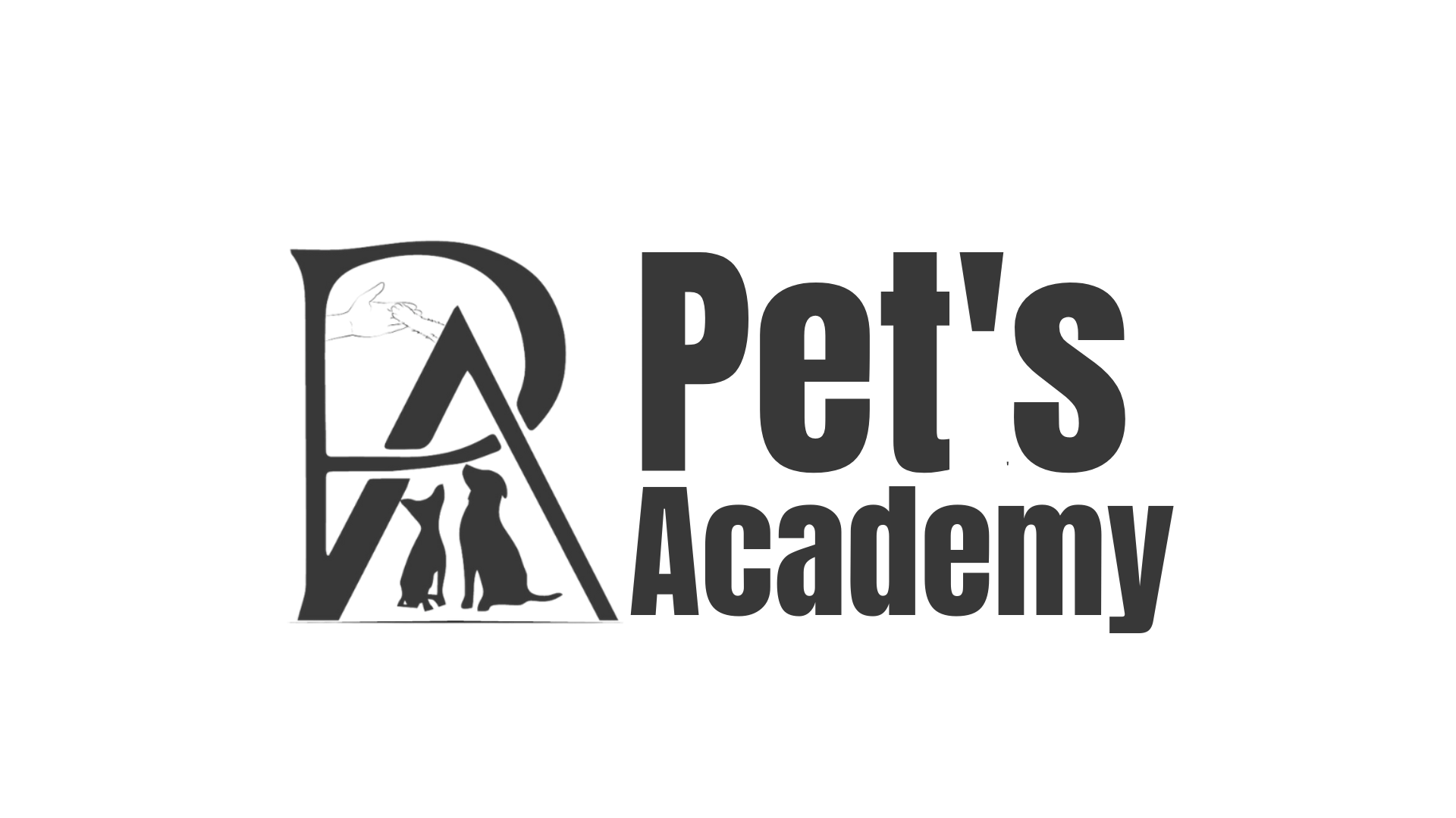 cazare oi sfantu gheorghe