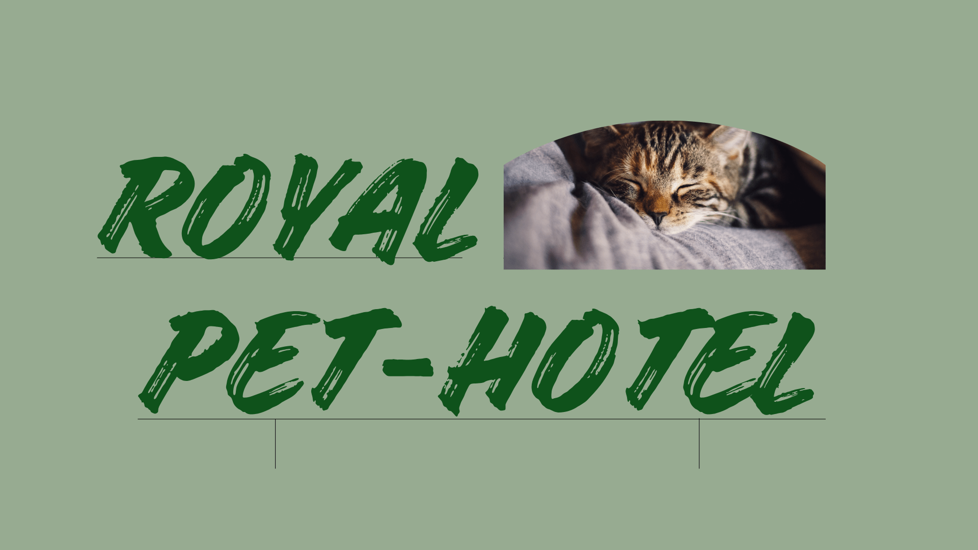 royal pet hotel voluntari pipera