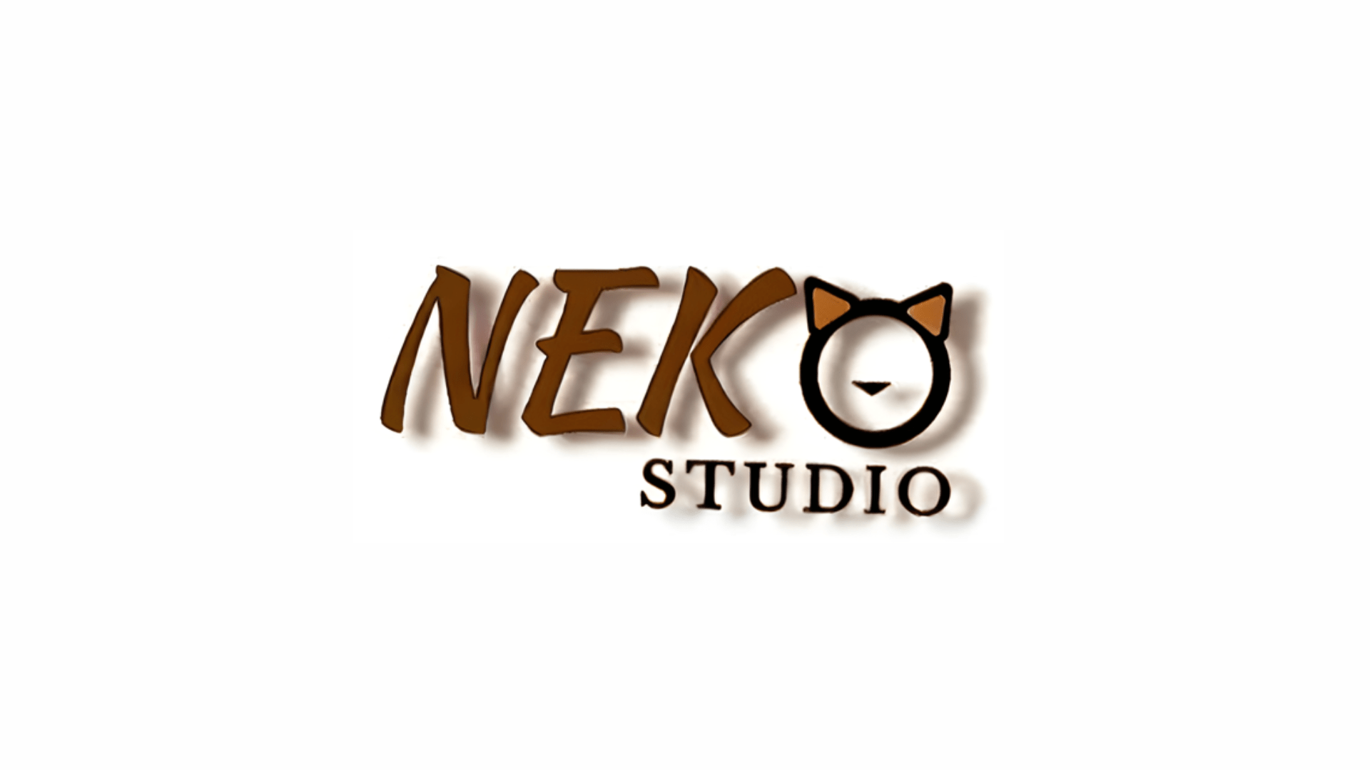 neko cat studio cazare pisici galati
