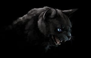 pisica si vrajitoarele